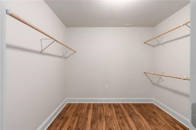 walk in closet featuring wood-type flooring