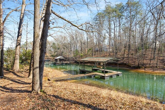 dock area with a water view