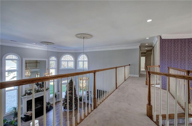 workout area featuring ceiling fan, light colored carpet, and crown molding