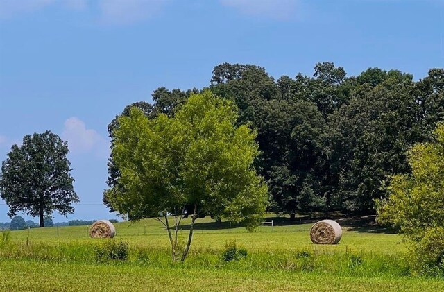 view of road with a rural view