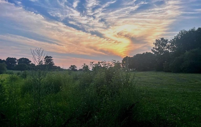 view of nature at dusk