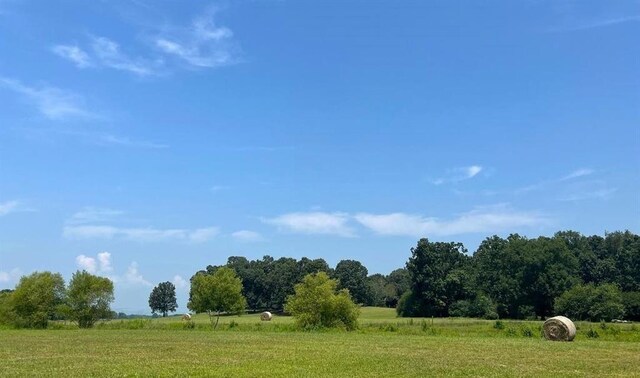 view of community featuring a rural view and a lawn