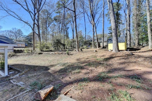 view of yard featuring a storage unit