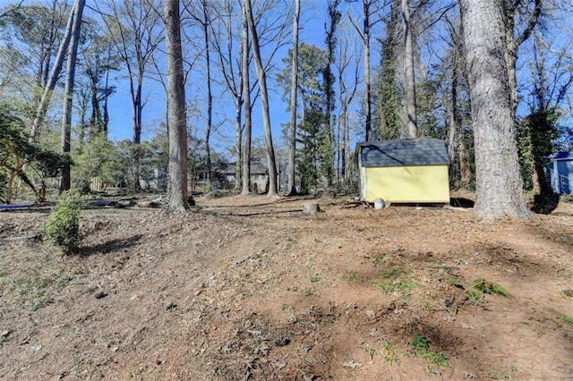 view of yard with a shed