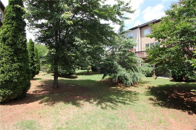 view of green lawn