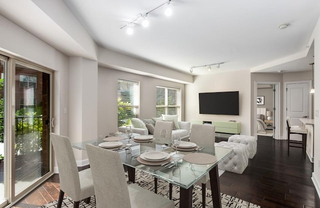 dining area featuring rail lighting and dark hardwood / wood-style flooring