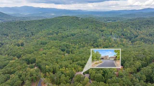 bird's eye view with a mountain view and a view of trees