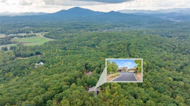 aerial view featuring a mountain view and a view of trees