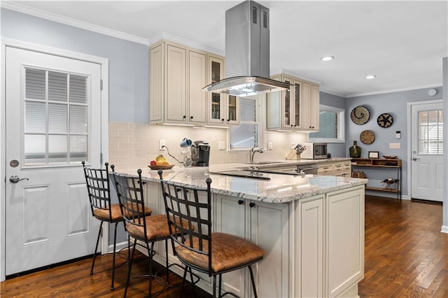 kitchen with island range hood, dark hardwood / wood-style floors, crown molding, a breakfast bar, and light stone countertops