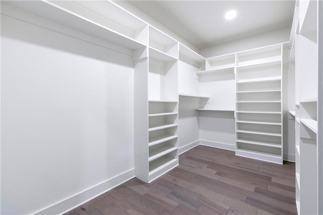 spacious closet featuring dark wood-style floors