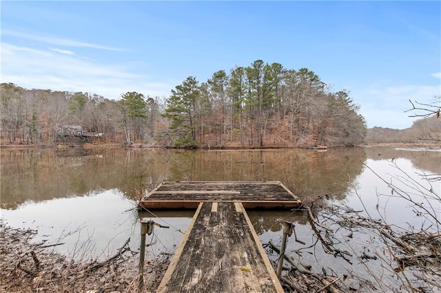 dock area with a water view and a view of trees