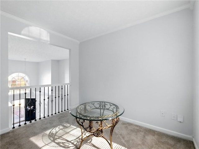 interior space featuring ornamental molding, carpet flooring, and baseboards