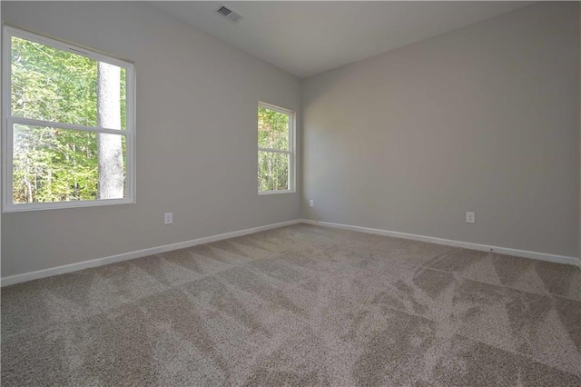 carpeted spare room with plenty of natural light