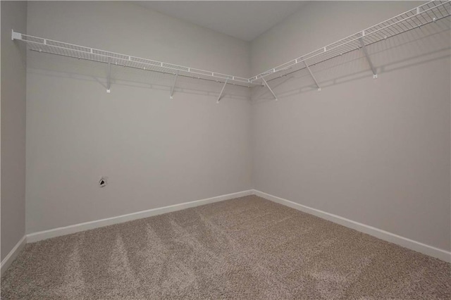 spacious closet with carpet floors