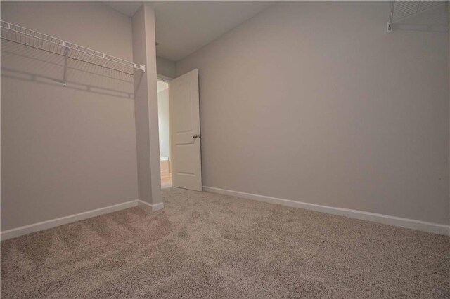 spacious closet featuring carpet