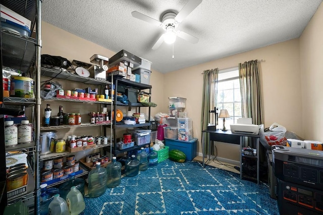 225 Hardin Rd SW, Plainville, GA 30733 - storage room with a ceiling fan