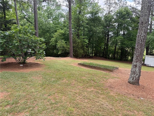 225 Hardin Rd SW, Plainville, GA 30733 - view of grassy yard