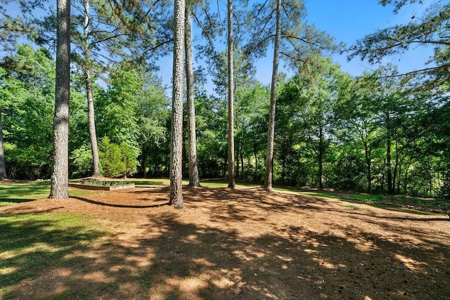 225 Hardin Rd SW, Plainville, GA 30733 - view of yard