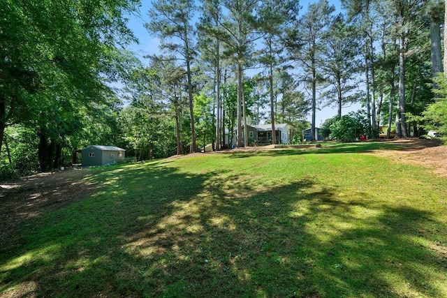 225 Hardin Rd SW, Plainville, GA 30733 - view of green lawn