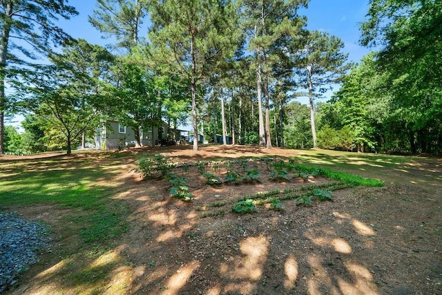 225 Hardin Rd SW, Plainville, GA 30733 - view of green lawn
