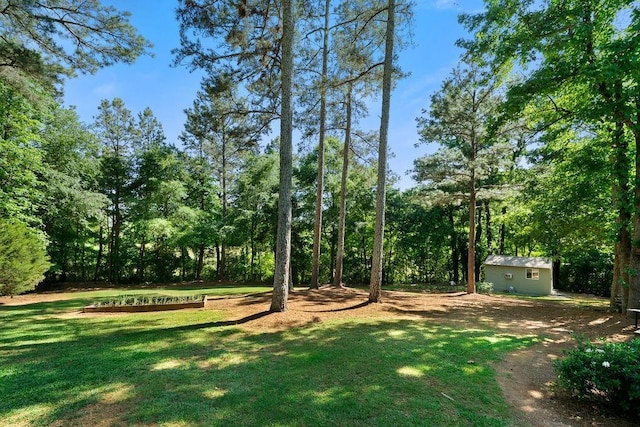 225 Hardin Rd SW, Plainville, GA 30733 - view of green lawn