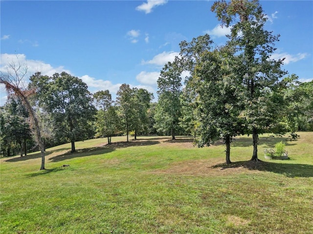 view of community with a lawn