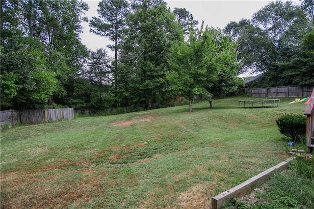 7930 River Fall Ct, Ball Ground, GA 30107 - view of yard with a trampoline