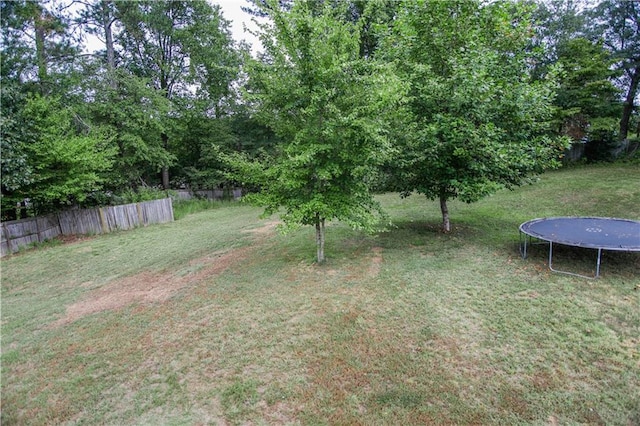 7930 River Fall Ct, Ball Ground, GA 30107 - view of yard with a trampoline