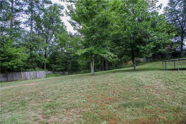 7930 River Fall Ct, Ball Ground, GA 30107 - view of yard with a trampoline