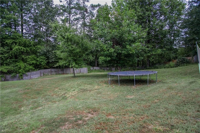 7930 River Fall Ct, Ball Ground, GA 30107 - fenced backyard with a trampoline