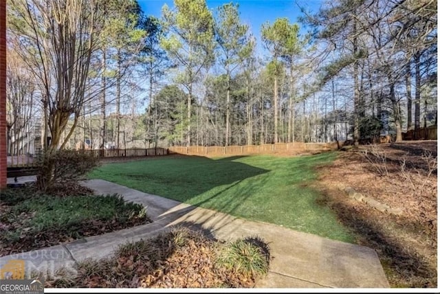 1090 Crown River Pkwy, Mcdonough, GA 30252 - view of yard