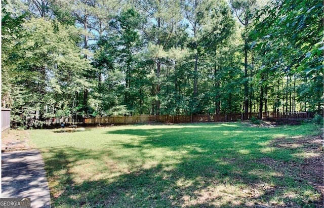 1090 Crown River Pkwy, Mcdonough, GA 30252 - view of yard