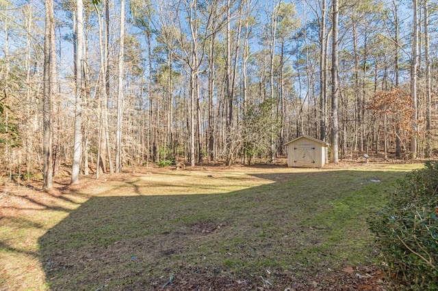 view of yard with a shed