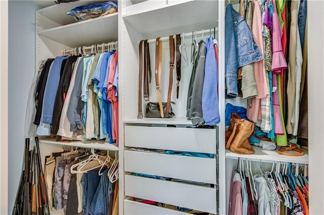 view of walk in closet