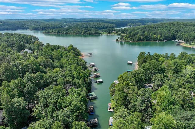 drone / aerial view with a view of trees and a water view