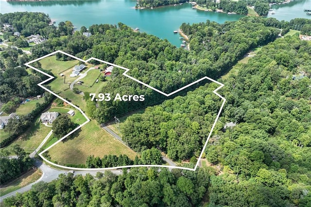 bird's eye view featuring a forest view and a water view