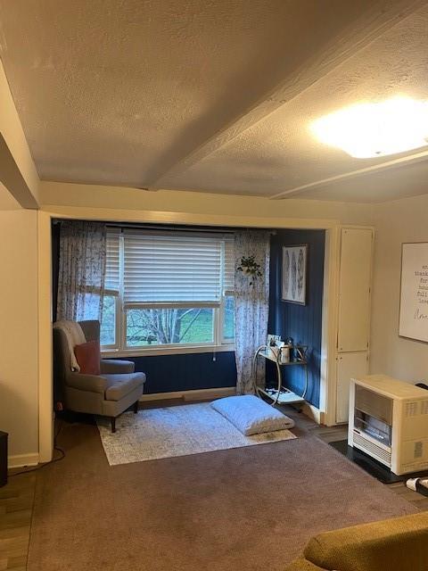 living area featuring heating unit, baseboards, carpet floors, and a textured ceiling