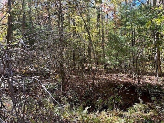 Listing photo 2 for 0 Little Mountain Rd, Dahlonega GA 30533