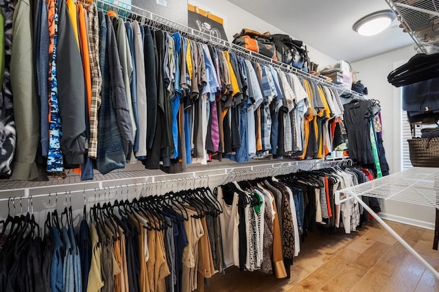 walk in closet featuring wood-type flooring