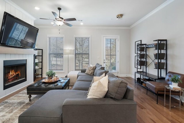 living room featuring hardwood / wood-style flooring, crown molding, a large fireplace, and ceiling fan