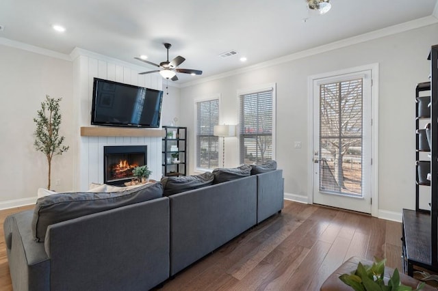 living room featuring crown molding, dark wood-type flooring, a large fireplace, and ceiling fan