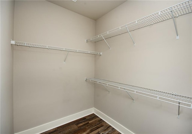 walk in closet with dark wood finished floors