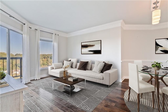 living area with baseboards, wood finished floors, and ornamental molding