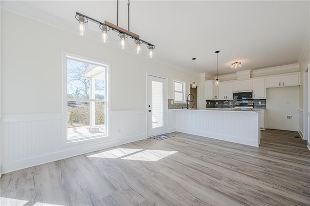 kitchen with light wood finished floors, stainless steel appliances, wainscoting, white cabinets, and a sink