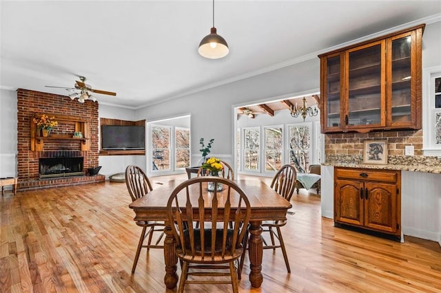 dining area with a fireplace, crown molding, a ceiling fan, and light wood-type flooring