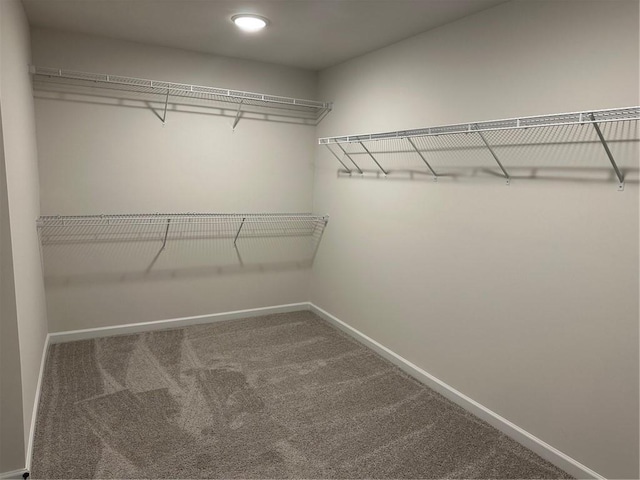 57 Longhorn Way, Auburn, GA 30011 - walk in closet with carpet