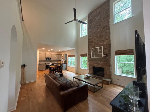 6725 Grove Meadows Ln, Cumming, GA 30028 - living area featuring a towering ceiling, healthy amount of natural light, a ceiling fan, and baseboards