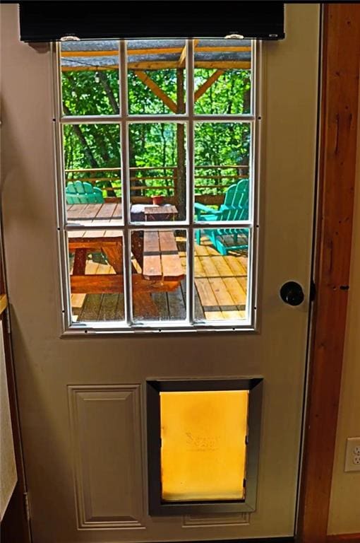 225 Overlook Cir, Clarkesville, GA 30523 - doorway featuring healthy amount of natural light