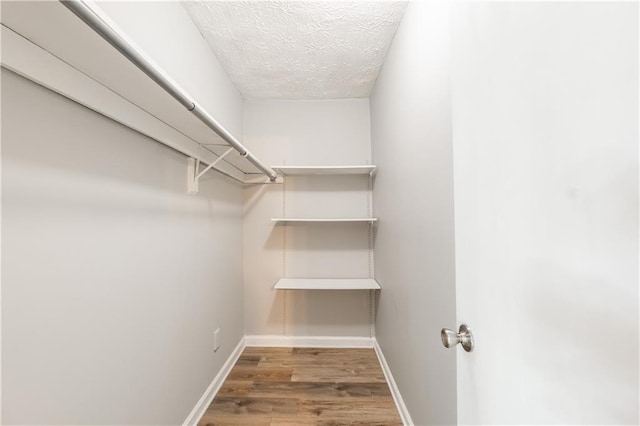 spacious closet featuring wood finished floors