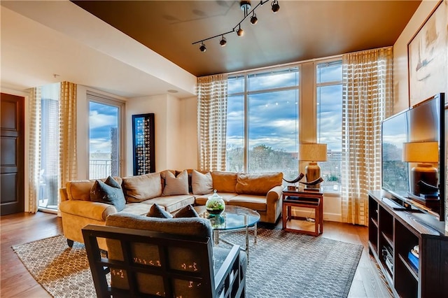 1820 Peachtree St NW Unit 811, Atlanta, GA 30309 - living room featuring wood finished floors and track lighting